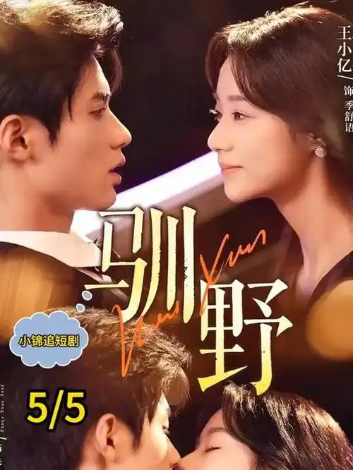 白塔之下 高分剧集海报